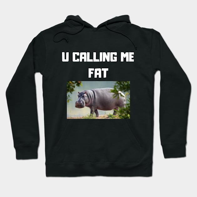 U calling me fat Hoodie by Random store 